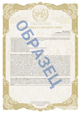 Образец Приложение к СТО 01.064.00220722.2-2020 Салым Сертификат СТО 01.064.00220722.2-2020 
